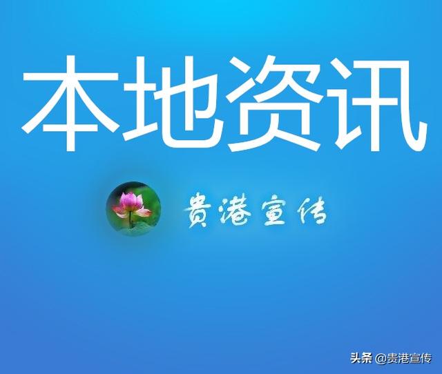 抢抓RCEP新机遇 贵港海关在行动