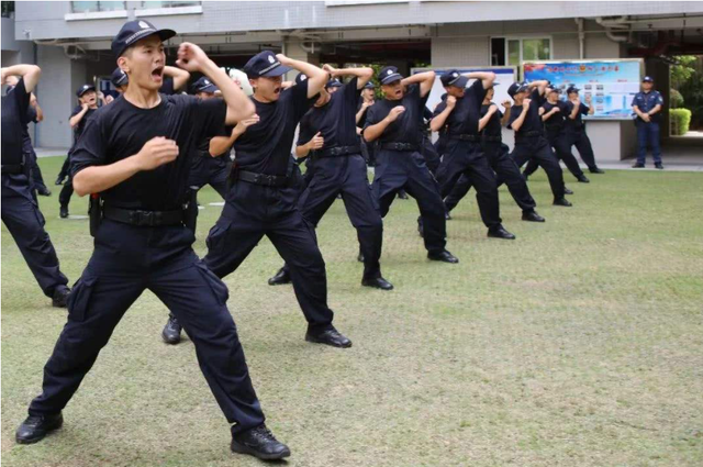 中国警察队伍的助手，2008年，治安员为何退出了执勤岗位？