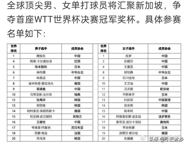 12月新加坡首届世界杯总决赛预告