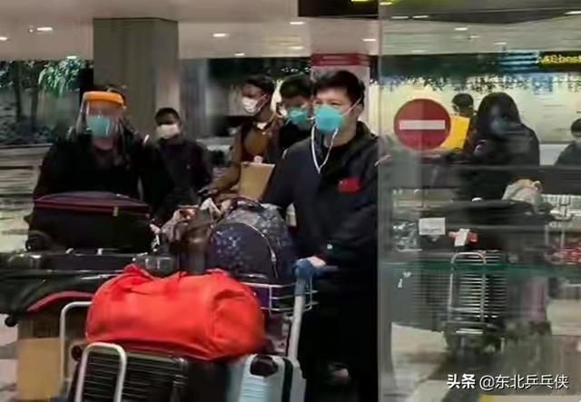 国乒安全抵达新加坡，樊振东很疲惫，孙颖莎果然大心脏，心情大好