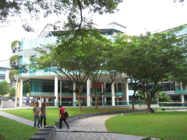 新加坡管理大学财富管理学硕士专业