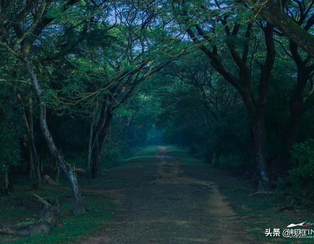带你自由行不一样的柬埔寨