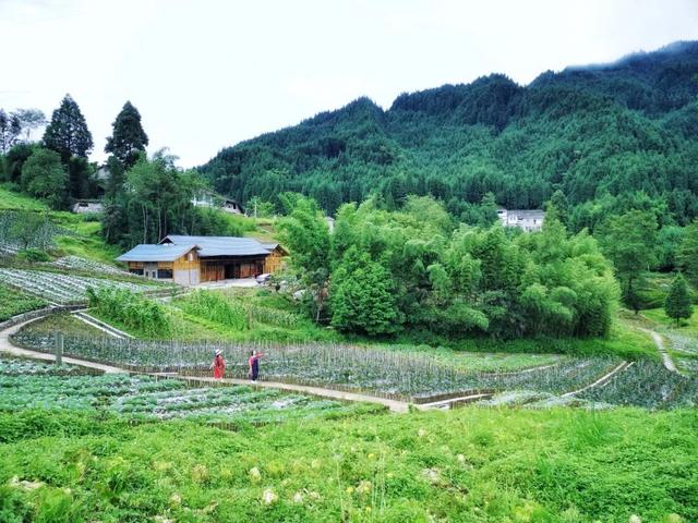 城市生态舱来了！在家门口体验神奇的半山五宝