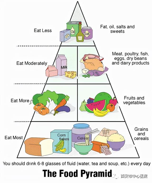 从各国/各地区膳食图形建议解决灵魂拷问“今天吃什么？”