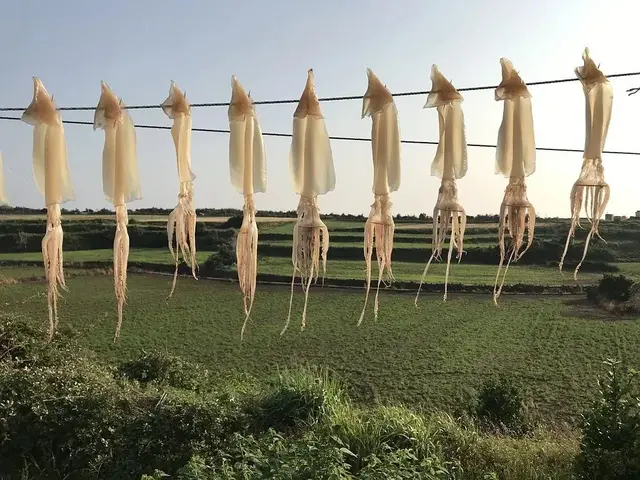 蚝有上百个品种?波士顿龙虾其实并不产自波士顿? 认识海鲜的真面目