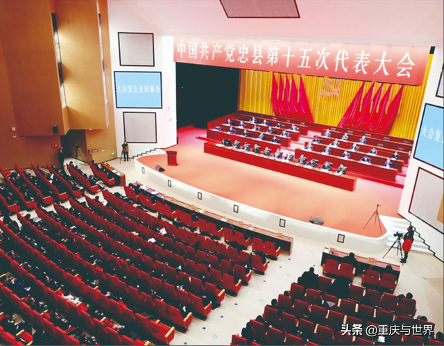 忠县：“库心”仲冬“绿”如春