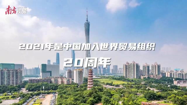 完美日记如何用“美”推动中国品牌走向世界？|对话世界500强