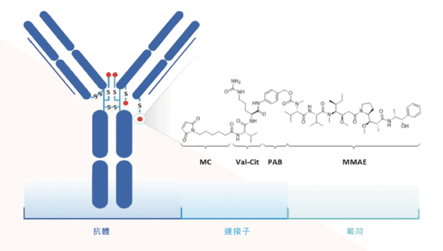 荣昌生物科学领路人房健民｜江湖