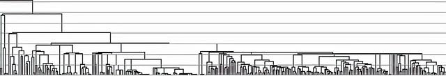 4.5万-3.0万年古DNA揭示：现代欧亚人的父系均起源于东亚南部