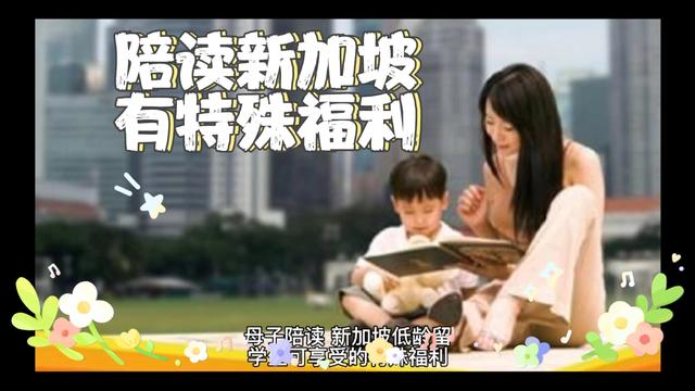 陪读新加坡，有啥特殊福利？