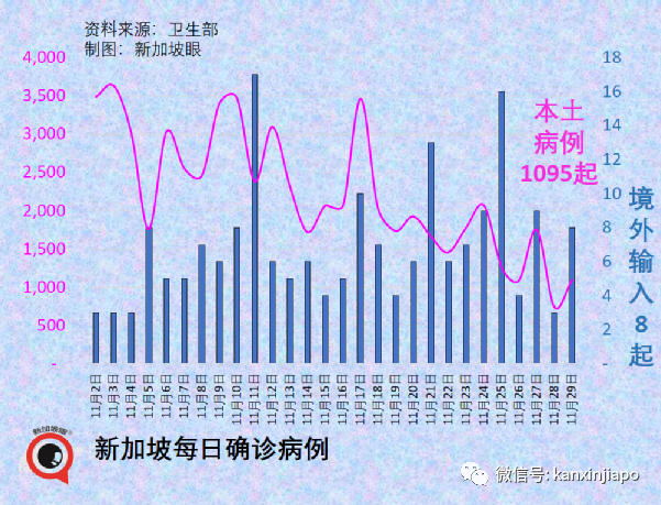 政府紧急出台应对政策！南非出发的新航航班2人感染超强毒株，同机7人入境新加坡