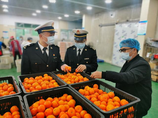 广州从化鲜柑橘首次走出国门