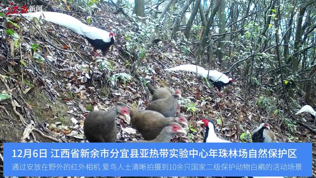 早安，地球村丨一箭五星，发射成功