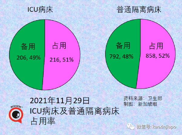 政府紧急出台应对政策！南非出发的新航航班2人感染超强毒株，同机7人入境新加坡