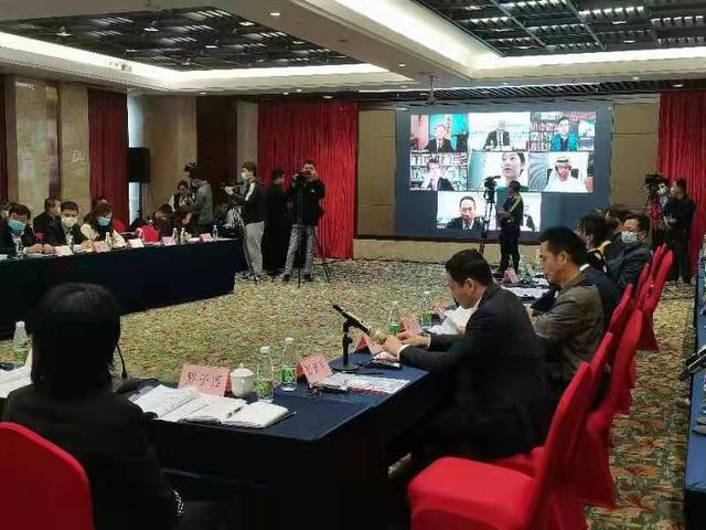 2020迪拜世博会中国馆海南活动周国际自贸港云论坛召开