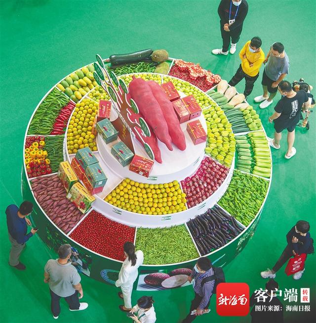 “黑科技”“新物种”......海南冬交会汇聚农业精品 点亮乡村振兴