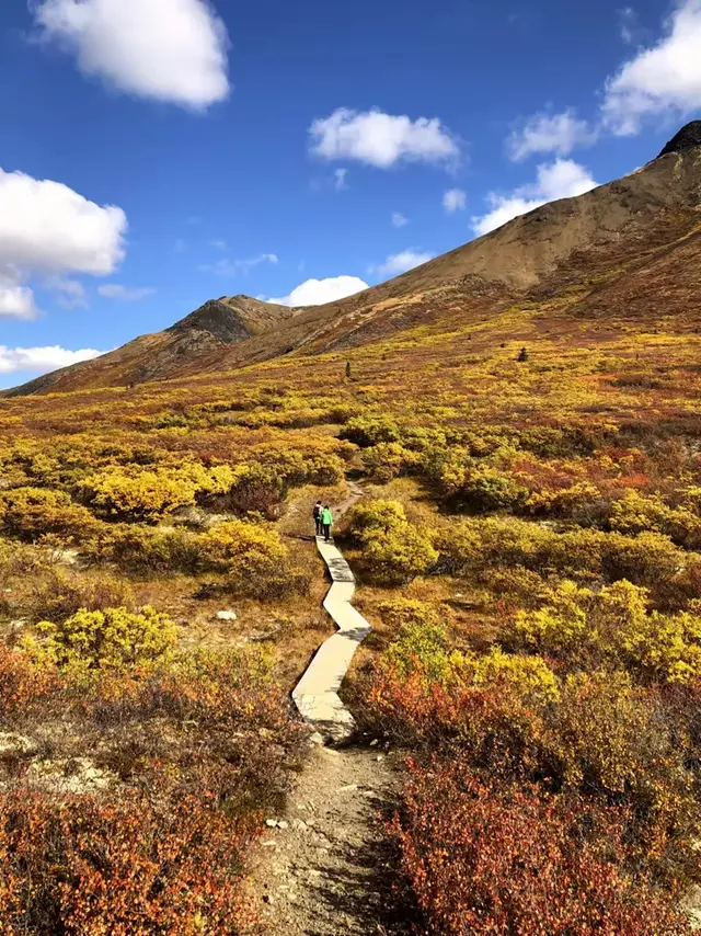 “梦”游北极圈7：墓碑山——极致地貌 多彩北极苔原