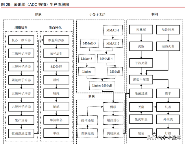 抗体偶联药物行业专题研究：群雄纷争，ADC药物领域快速发展