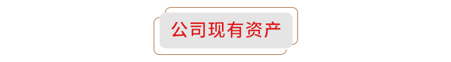 黄龙食品工业有限公司99.431%股权