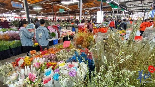 「老广贺春」年花市场涨声一片，本地品种网红产品值得关注