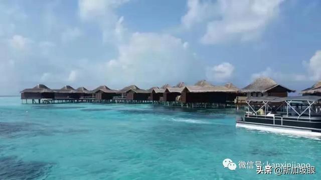 双子座小姐姐想在新加坡落地生根，找有缘人，孝顺父母、性格直爽