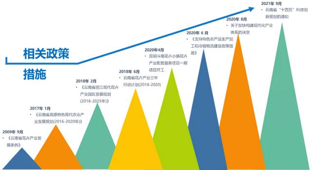 打造亚洲花卉中心，云南省花卉产业这样做