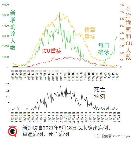 新加坡出现首个奥秘克戎死亡病例；专家称口罩可能要戴到2025年