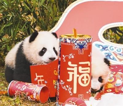 送上最萌新春祝福