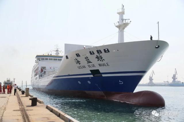 发力领跑！RCEP生效，烟台加速融入全球最大自贸“朋友圈”
