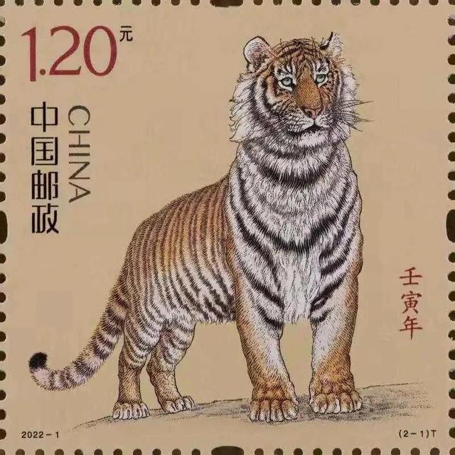 百虎图小唱，立春耀中华