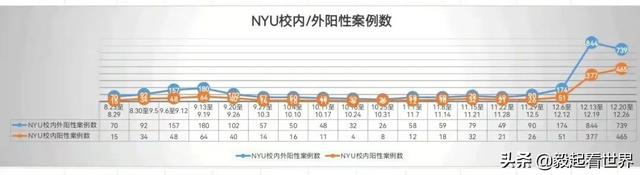 我在疫情肆虐的纽约得了新冠