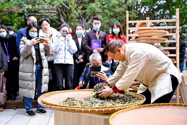 首届中国-东盟网红大会之舌尖上的福茶“海丝行”