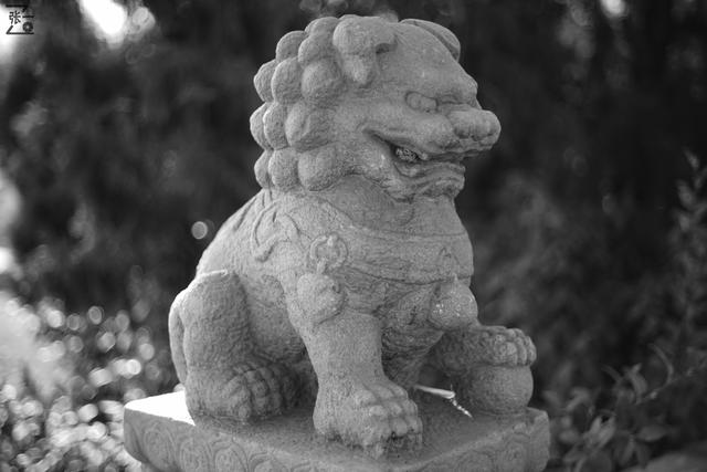 黑白调：德国Rollei 50/1.8镜头+索尼微单实拍北京卢沟桥