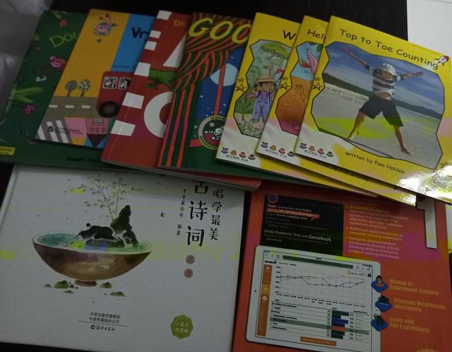 干货，麾比和百花，新加坡数学，逻辑狗对比第二波-数量