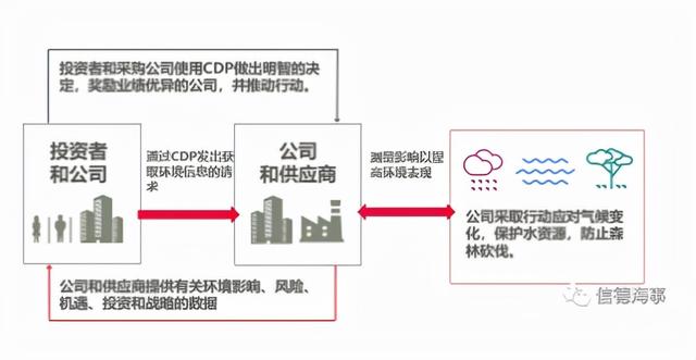 “碳揭露计划”披露：两家日本航运公司获A，航运业平均水平只有C