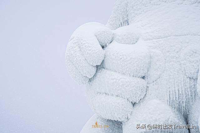 去长白山看展：风靡全球的雪中KAWS