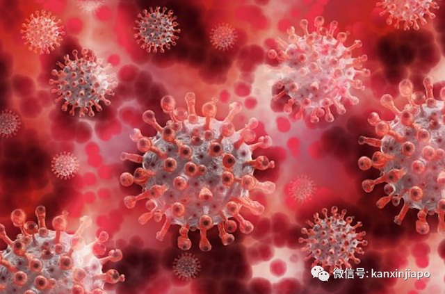 加强版奥密克戎开始传入新加坡，传播力更强，更难检测