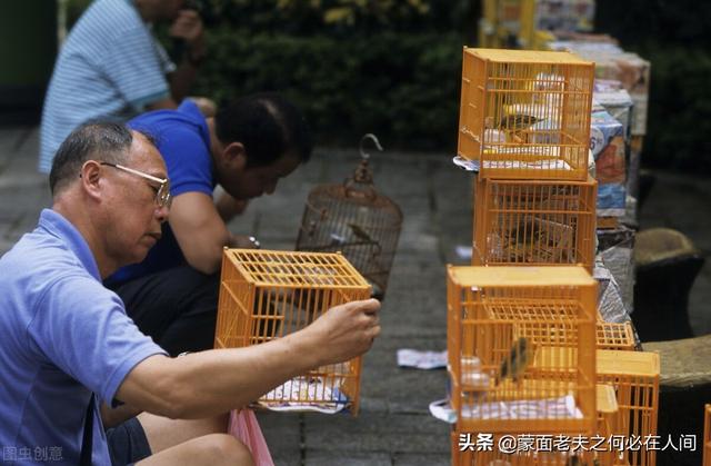 解决香港人住房问题必须向公园借地