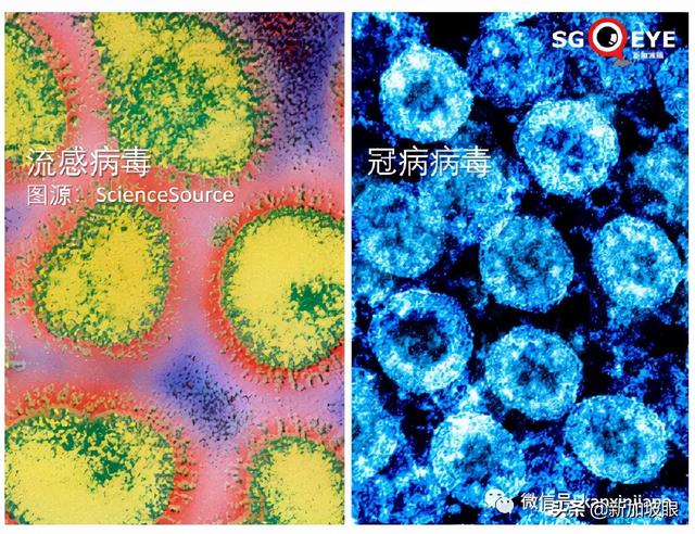 流感+冠病同时感染新病例；科兴加强针可对抗奥密克戎