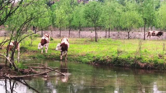 农村小伙船员小侯2021年是如何熬过来的？