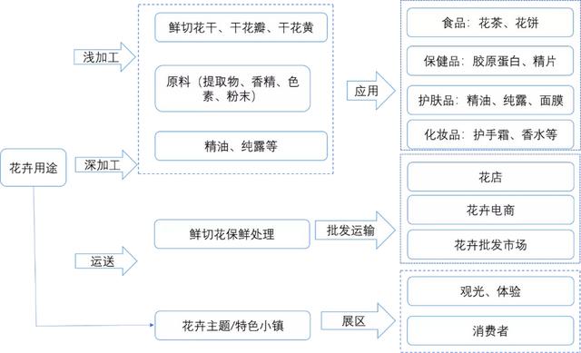 打造亚洲花卉中心，云南省花卉产业这样做