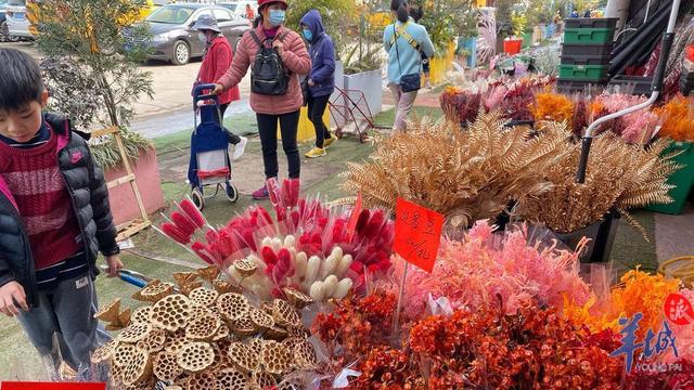 「老广贺春」年花市场涨声一片，本地品种网红产品值得关注