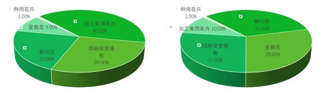 打造亚洲花卉中心，云南省花卉产业这样做