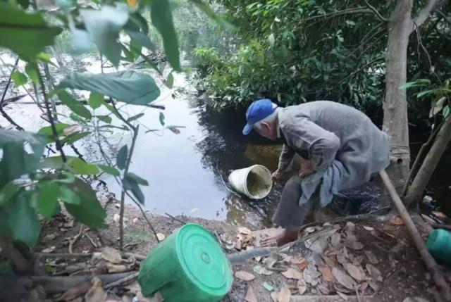 新加坡有老人过“原始生活”，野外住树林、搭帐篷、开菜园