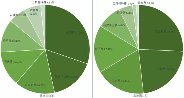 2021年云南省白菜产业品种、产量、价格及市场现状