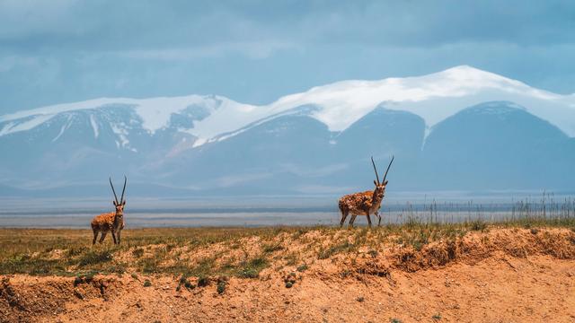 2022我不想再犹豫！旅行第一站，西藏