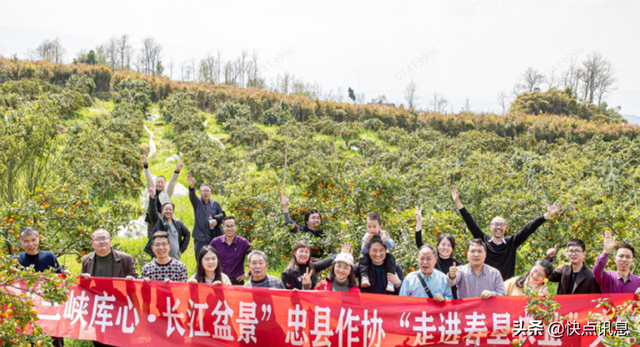 顺丰重庆提供高效物流解决方案 助力果农把脐橙卖往新加坡