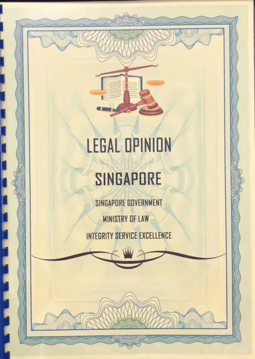 上币交所需要用到白皮书和法律意见书改如何规避风险