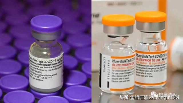 首批5-11岁辉瑞儿童疫苗运抵泰国，清迈最新疫情状况