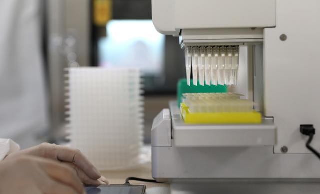 海淀病例所感染病毒与北美和新加坡等地部分毒株相似度较高